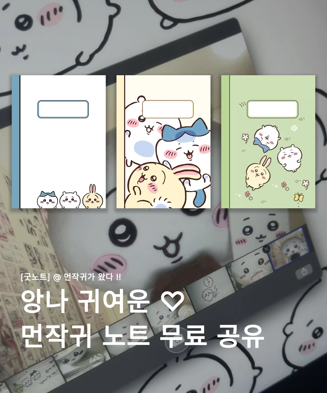먼작귀 노트
