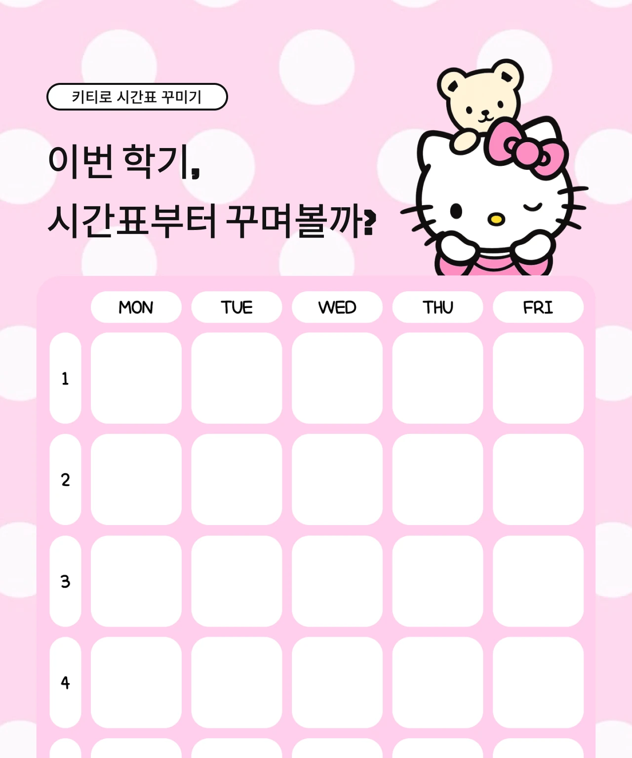 키티 시간표